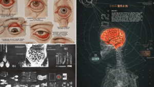 أنواع مخدّرات غريبة للغاية مخدر DMT  ملخص